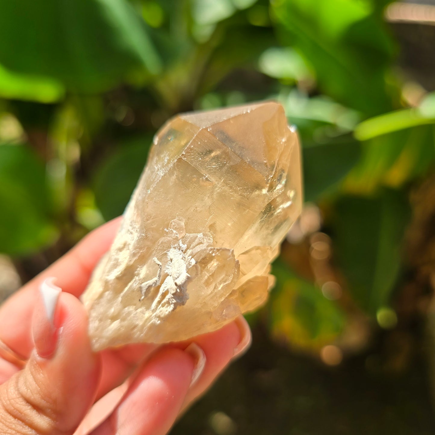 Elestial Citrine Specimen No 6