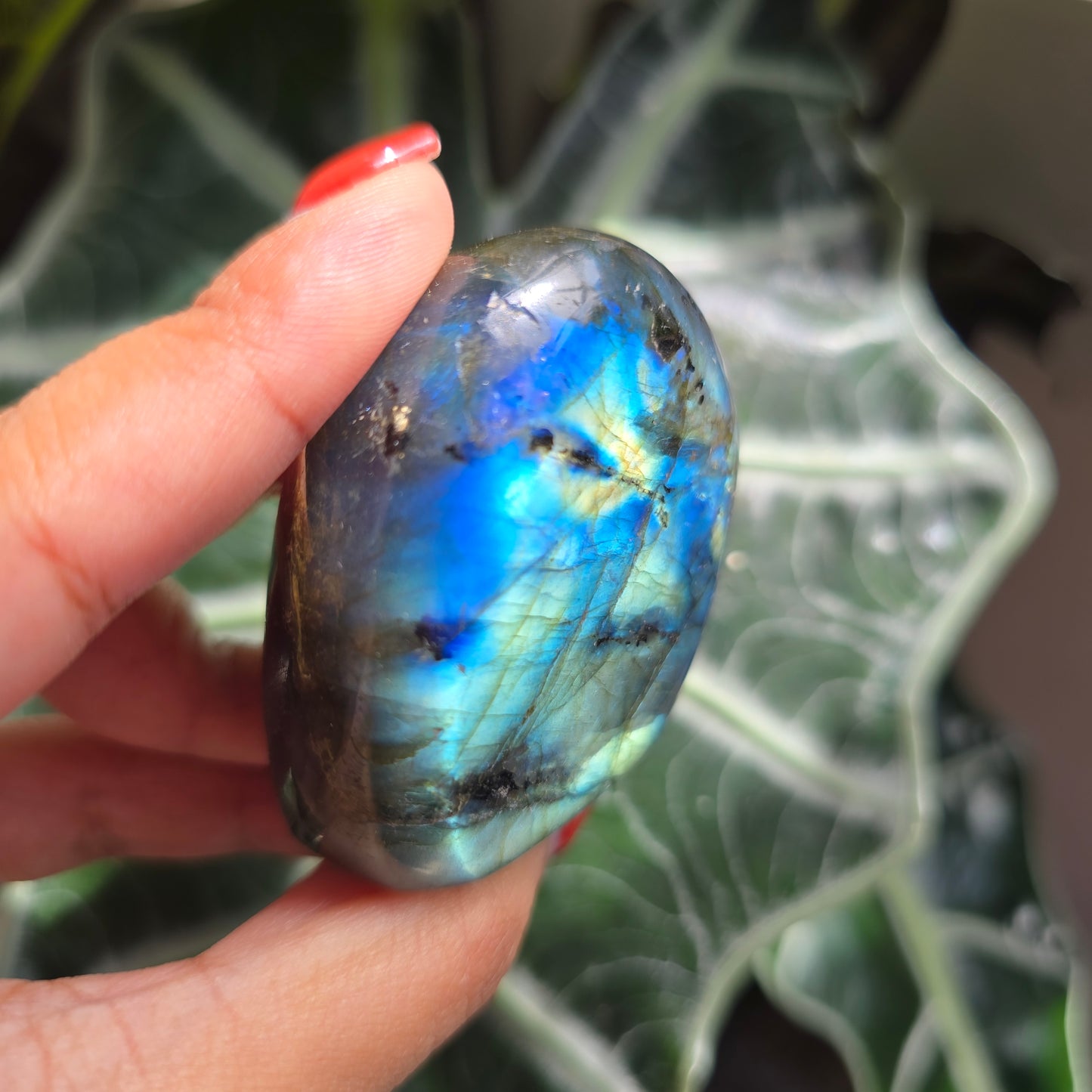 Labradorite Freeform - E