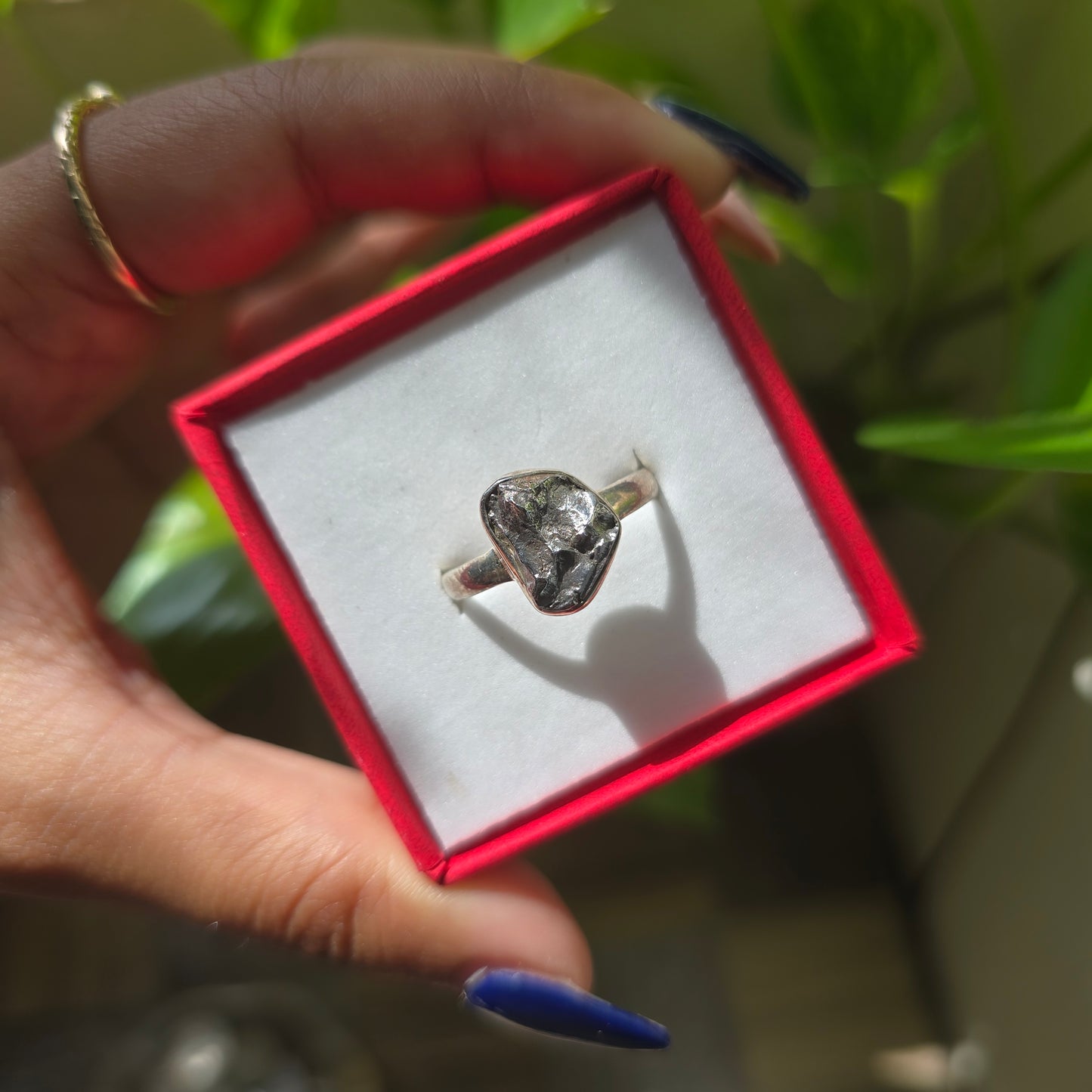 Campo del Cielo (Meteorite) Ring - Size 8.5