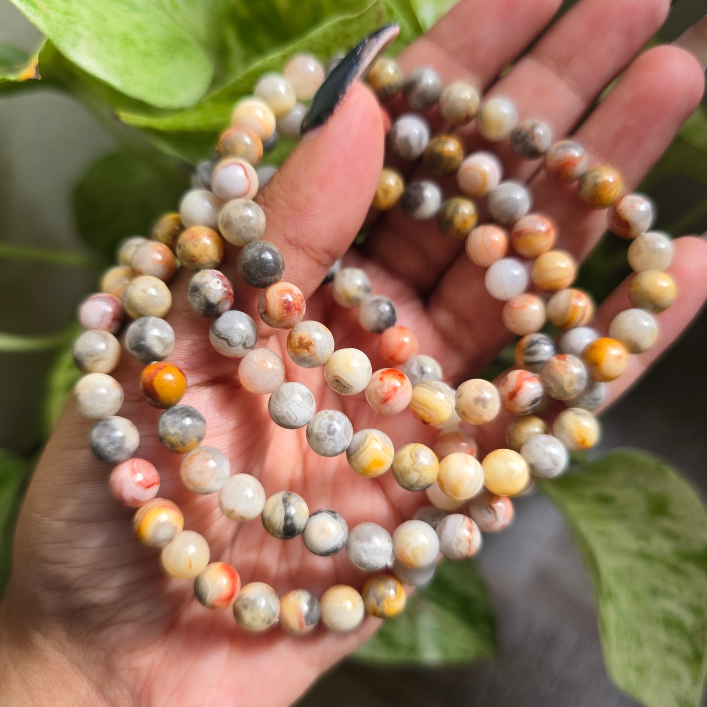 Laguna Lace Agate Gemstone Bracelet