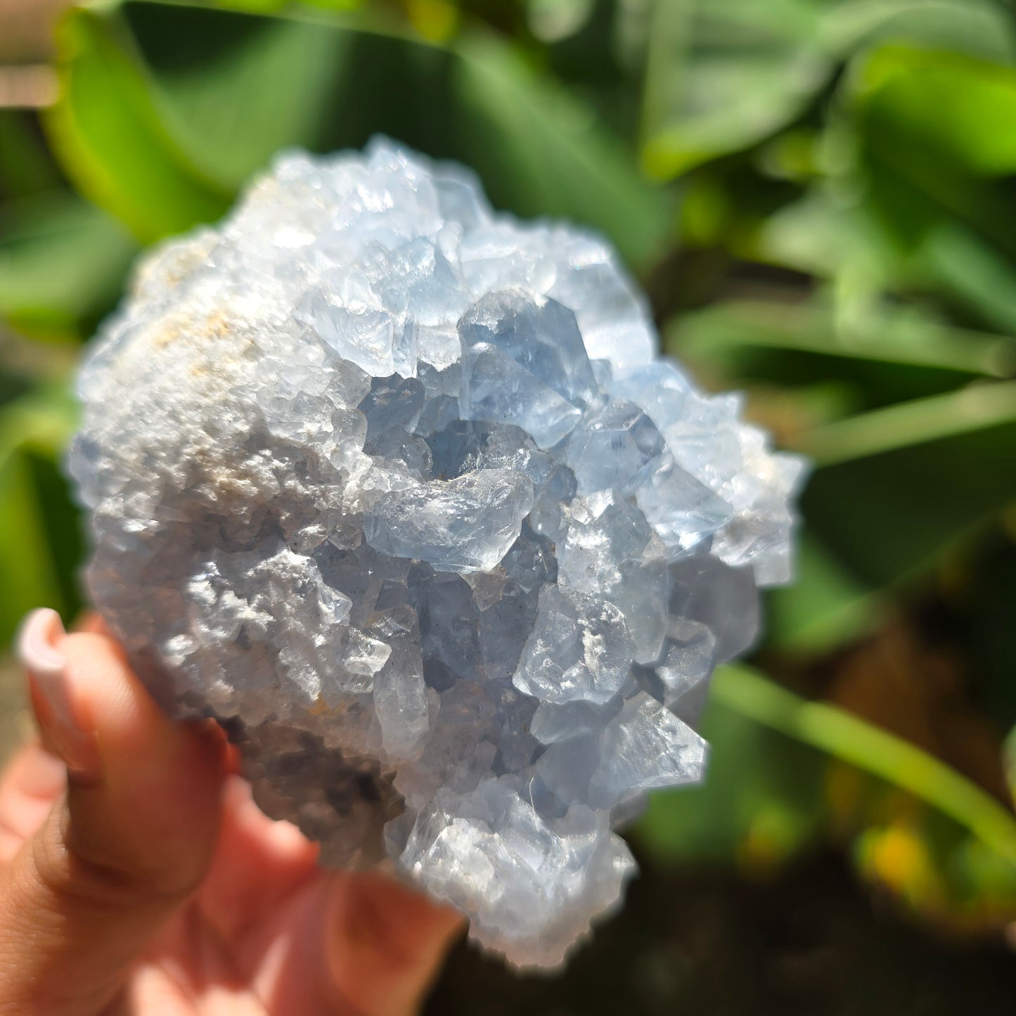 Celestite Specimen No 1
