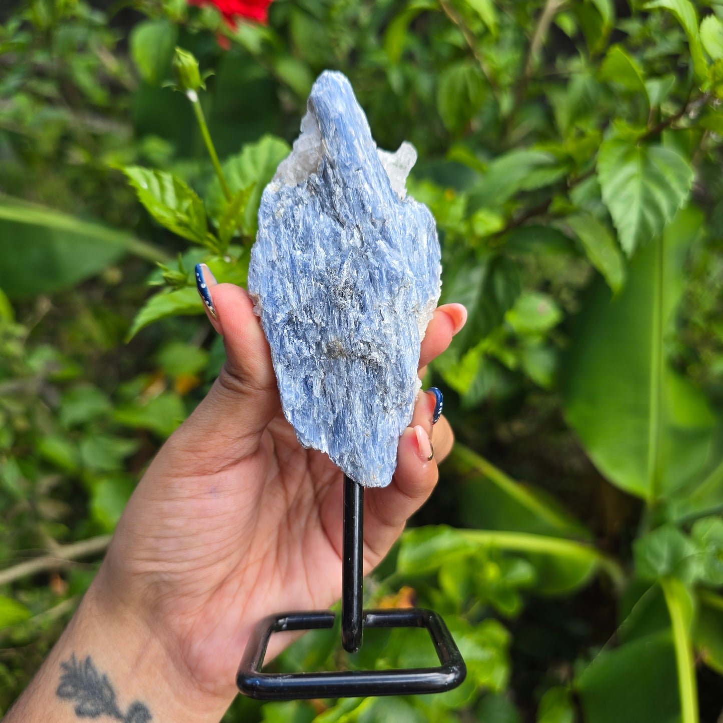Blue Kyanite on Metal Stand