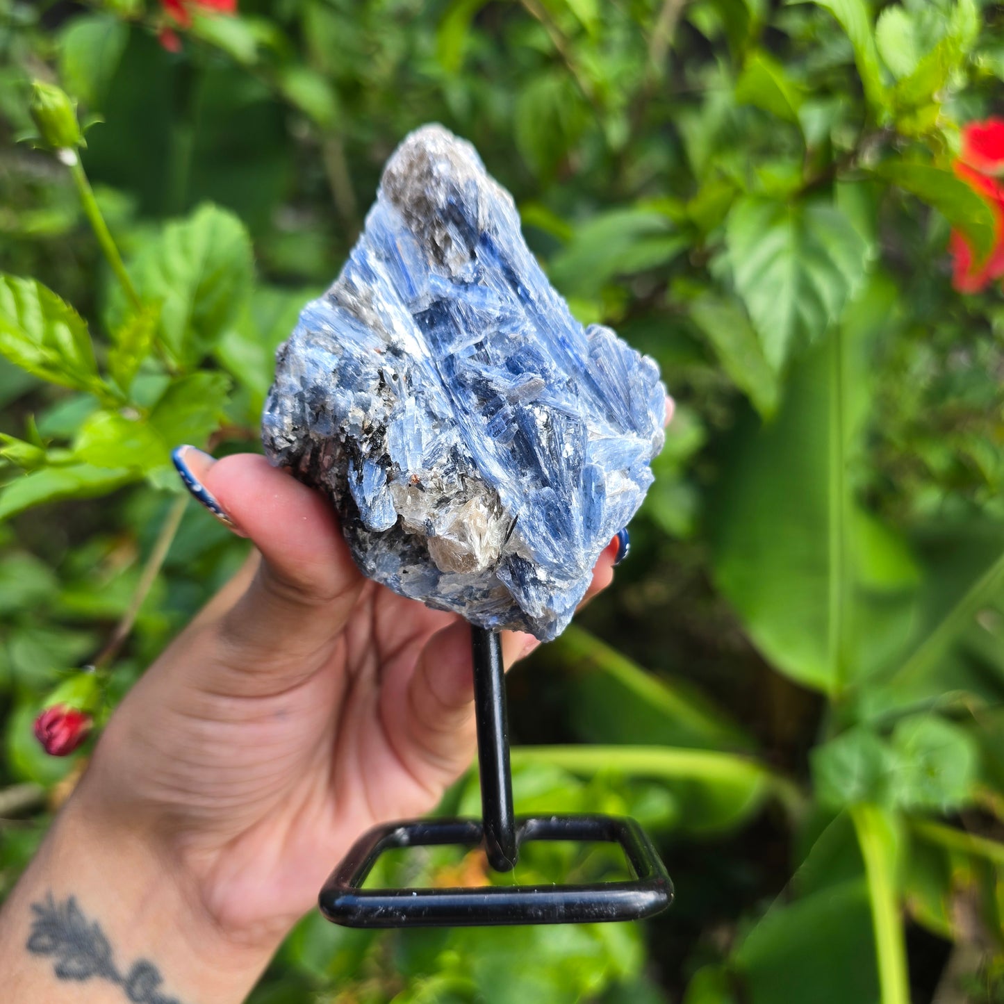 Blue Kyanite on Metal Stand