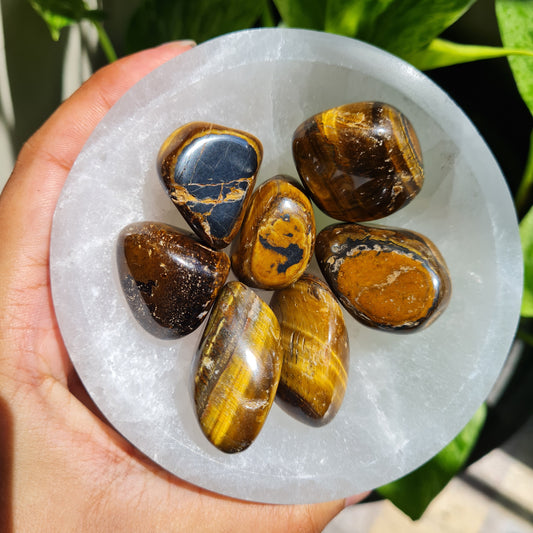 Tiger's Eye Tumbled Stone