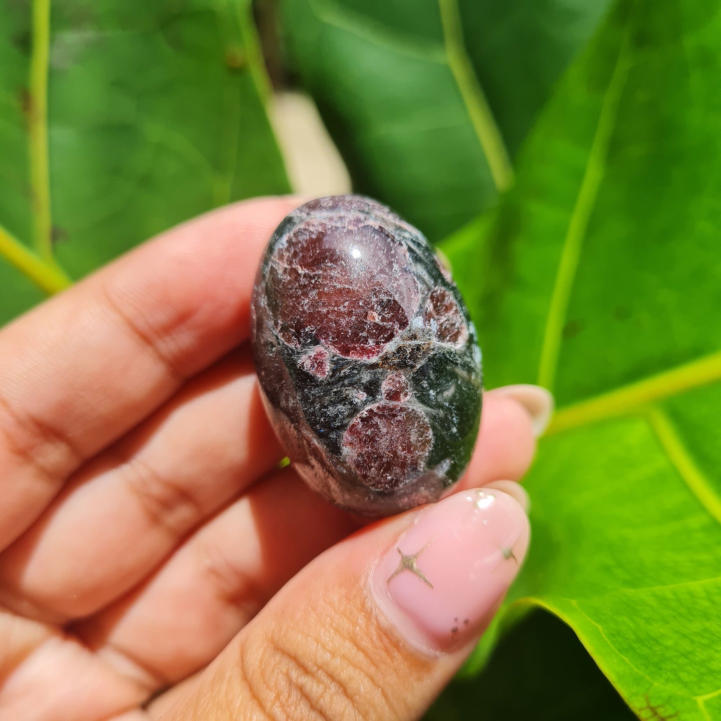 Arfvedsonite with Red Garnet Tumbled Stone