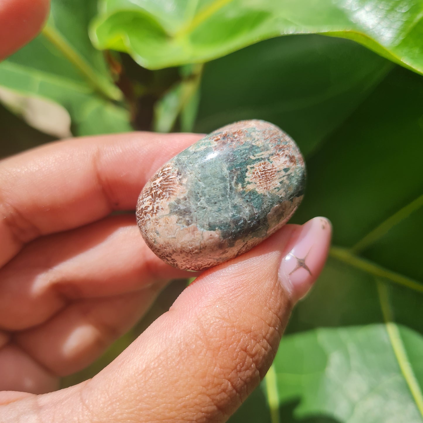 Russian Flower Agate Tumbled Stone