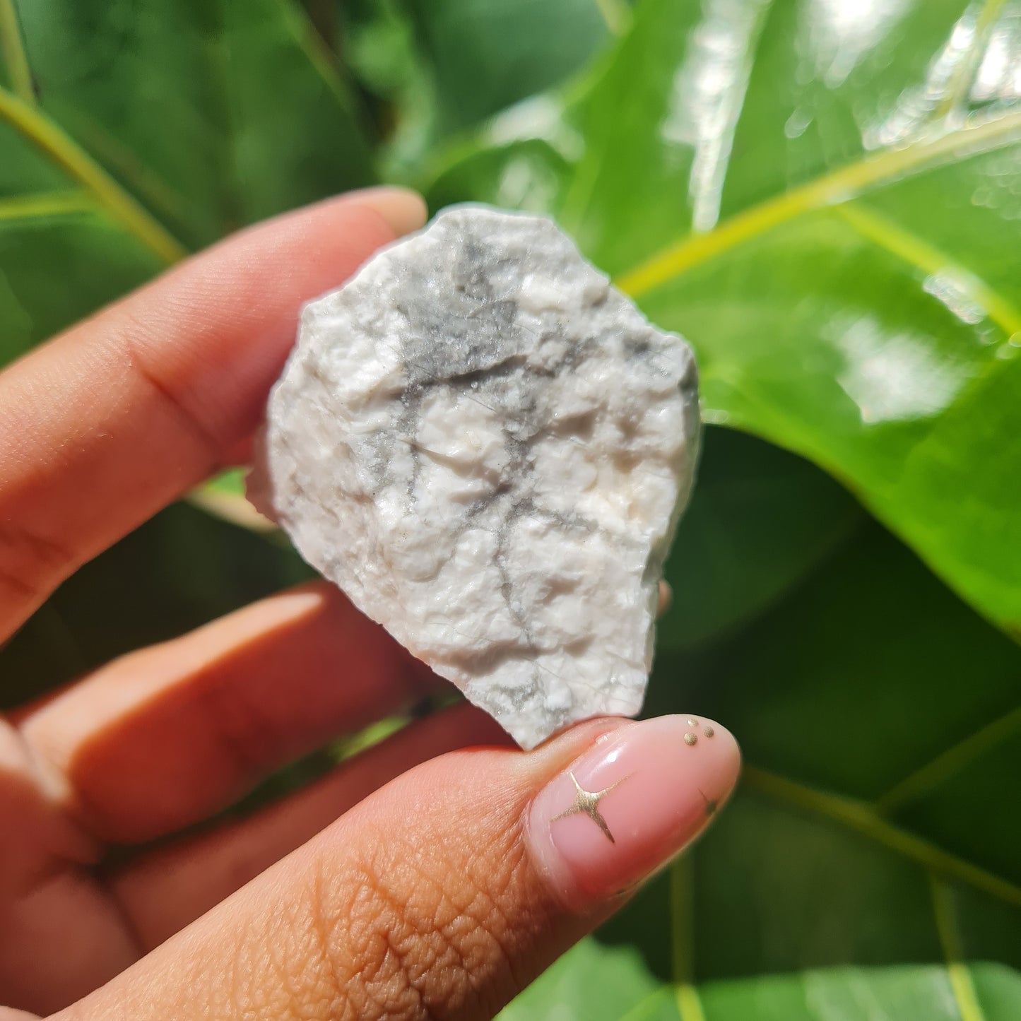 Raw Howlite Chunk