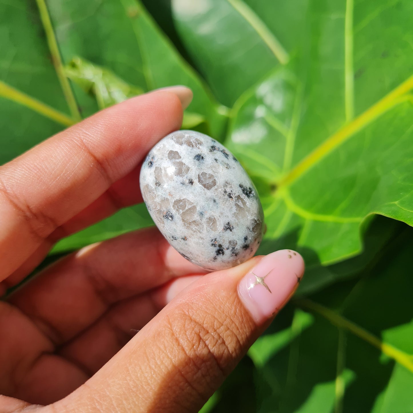 Kiwi Jasper Tumbled Stone