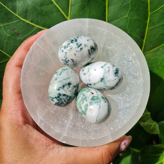 Tree Agate Tumbled Stone