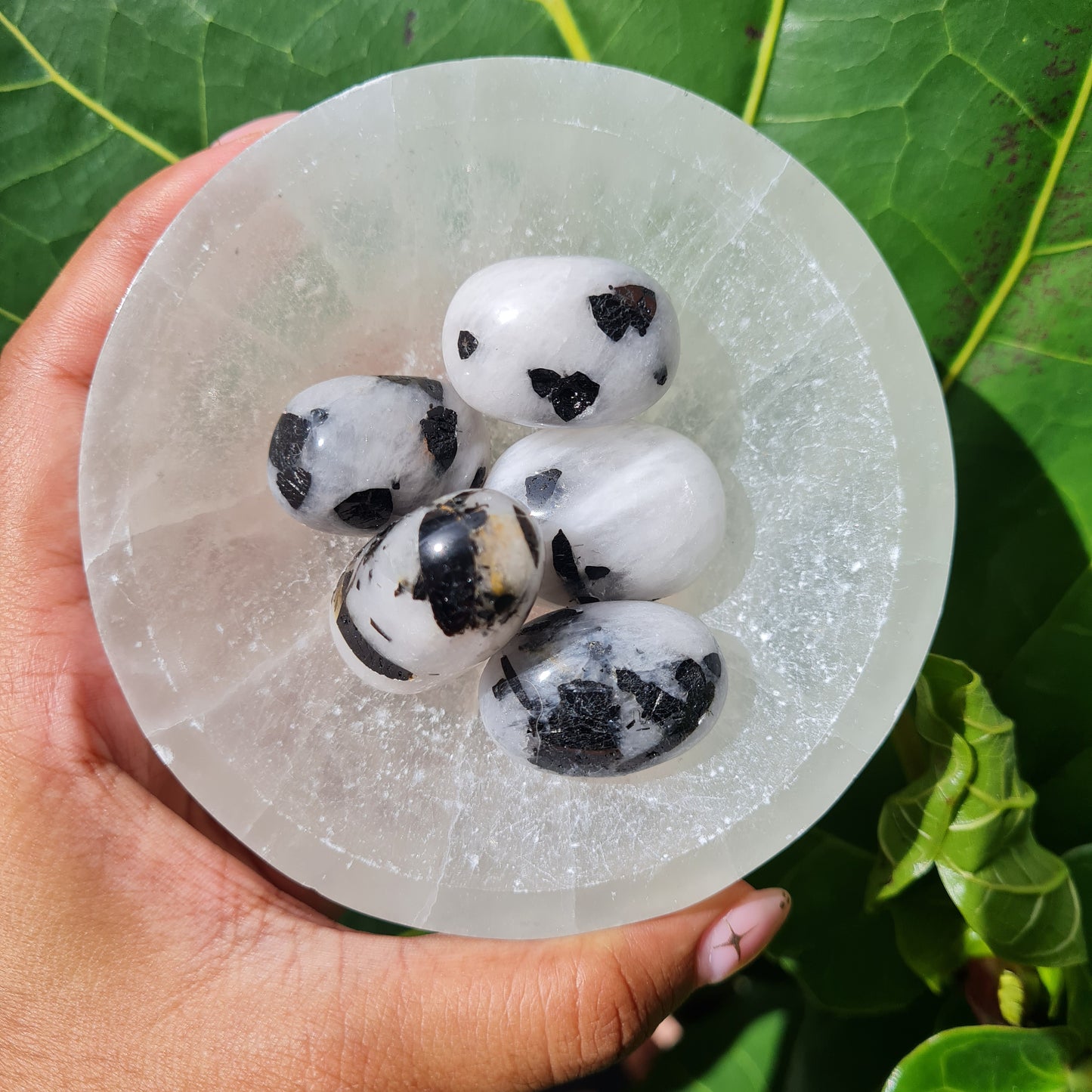 Tourmaline Quartz Tumbled Stone