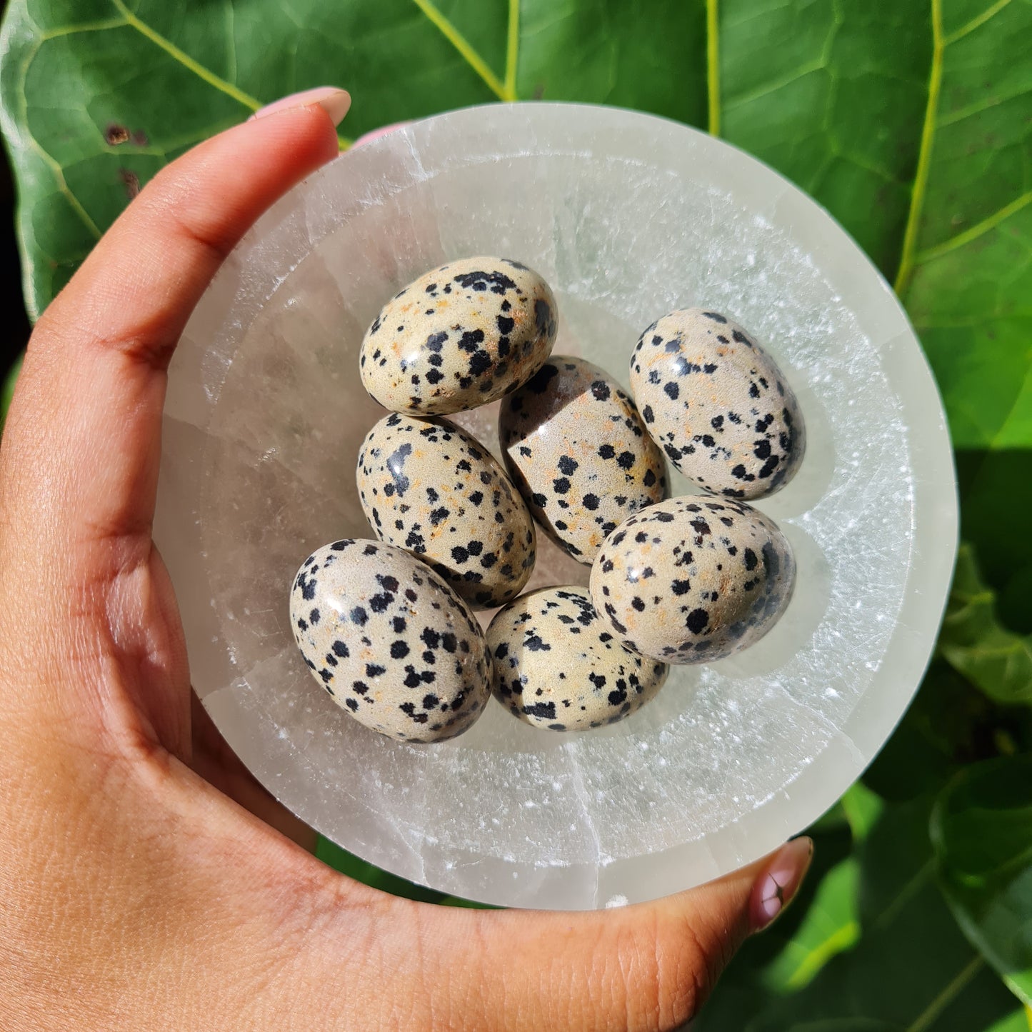 Dalmatian Jasper Tumbled Stone