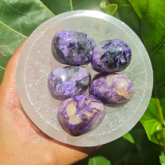 Charoite Tumbled Stone (Rare)
