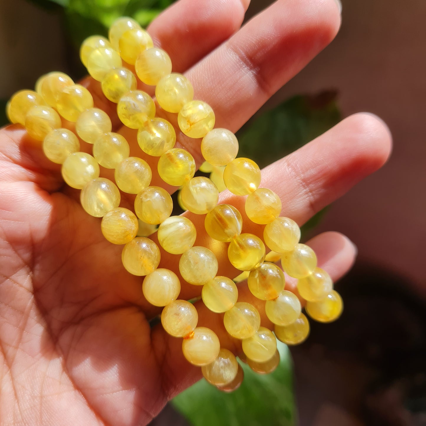 Golden Prehnite Gemstone Bracelet (Rare)