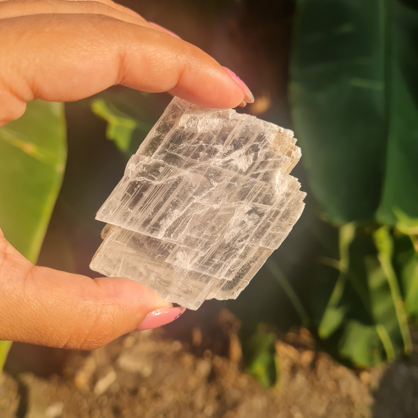 True Selenite Slab - Santa Eulalia, Chihuahua, Mexico