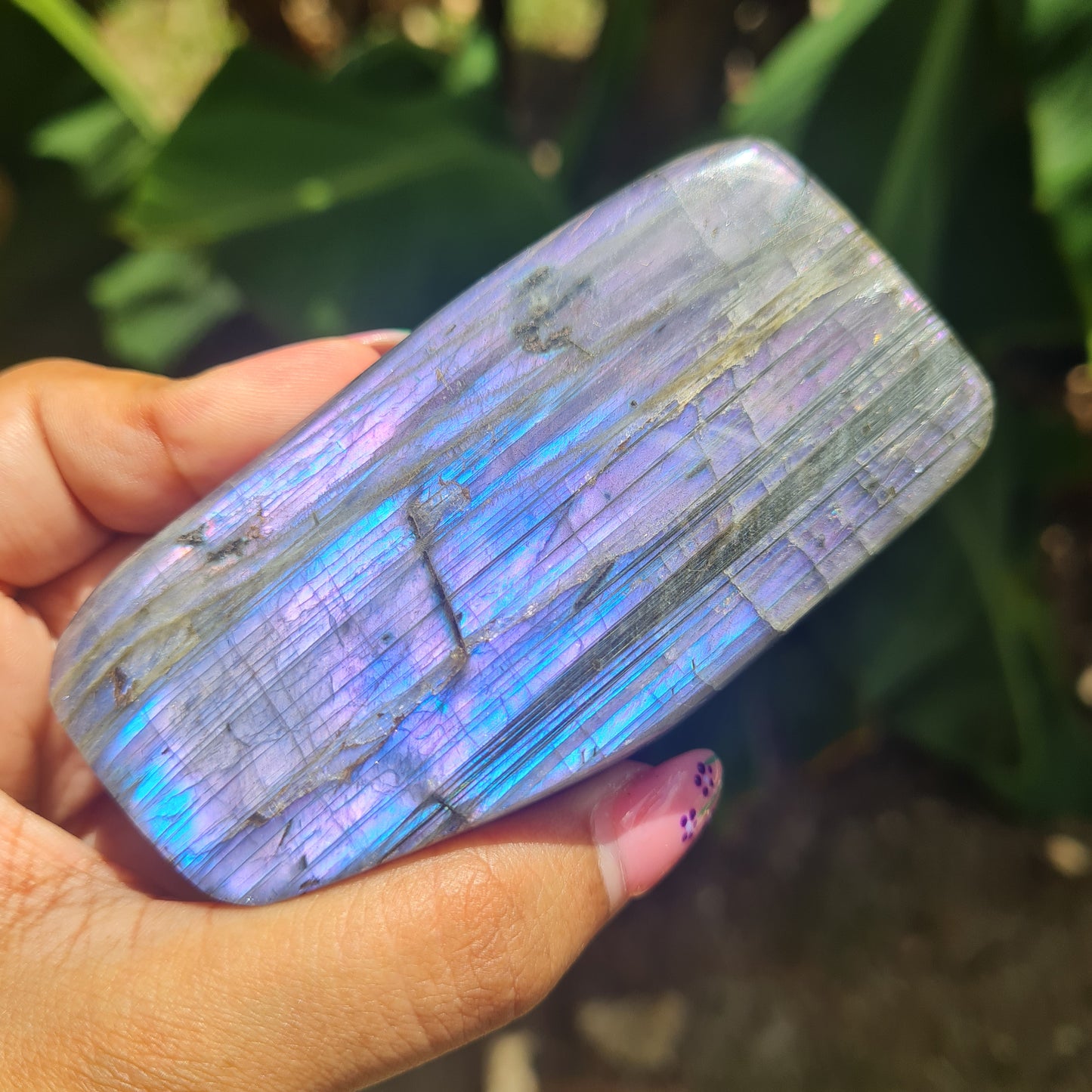 Rare Purple Labradorite Freeform