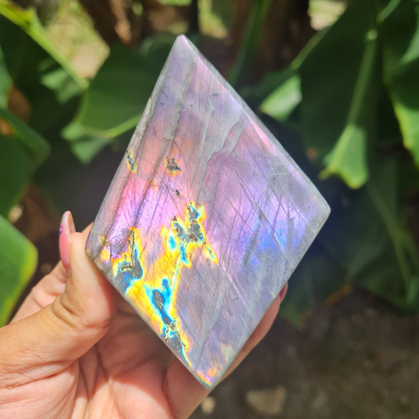 Rare Purple Labradorite Freeform