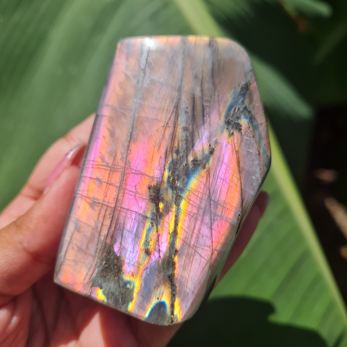 Rare Purple Labradorite Freeform