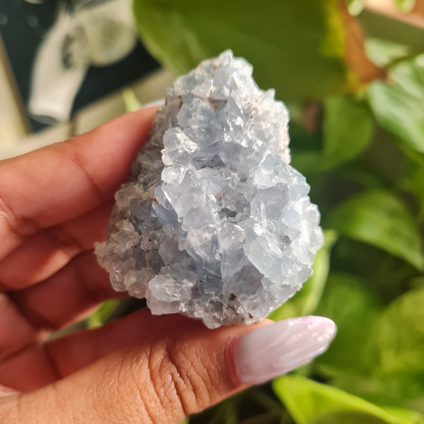 Celestite Cluster