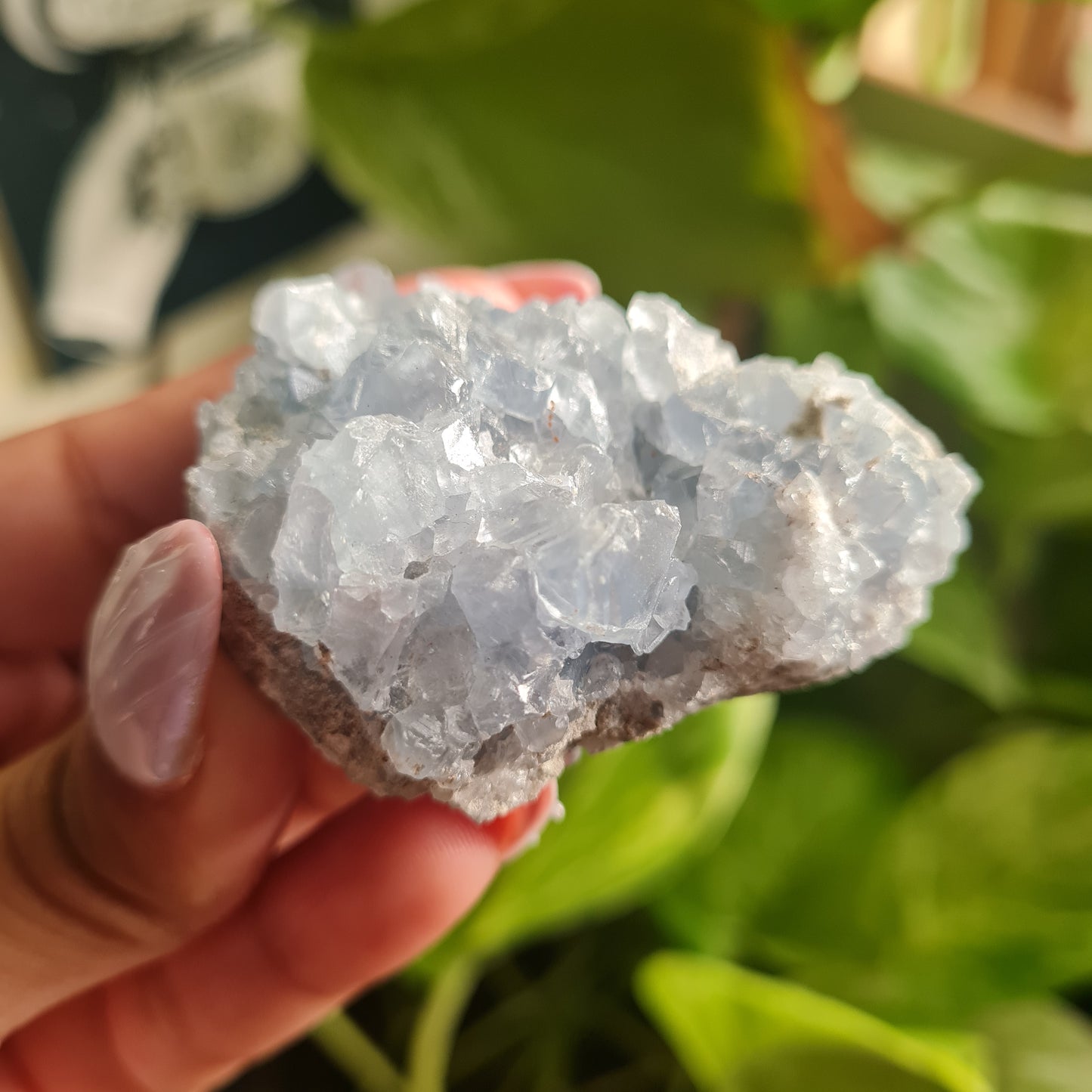 Celestite Cluster