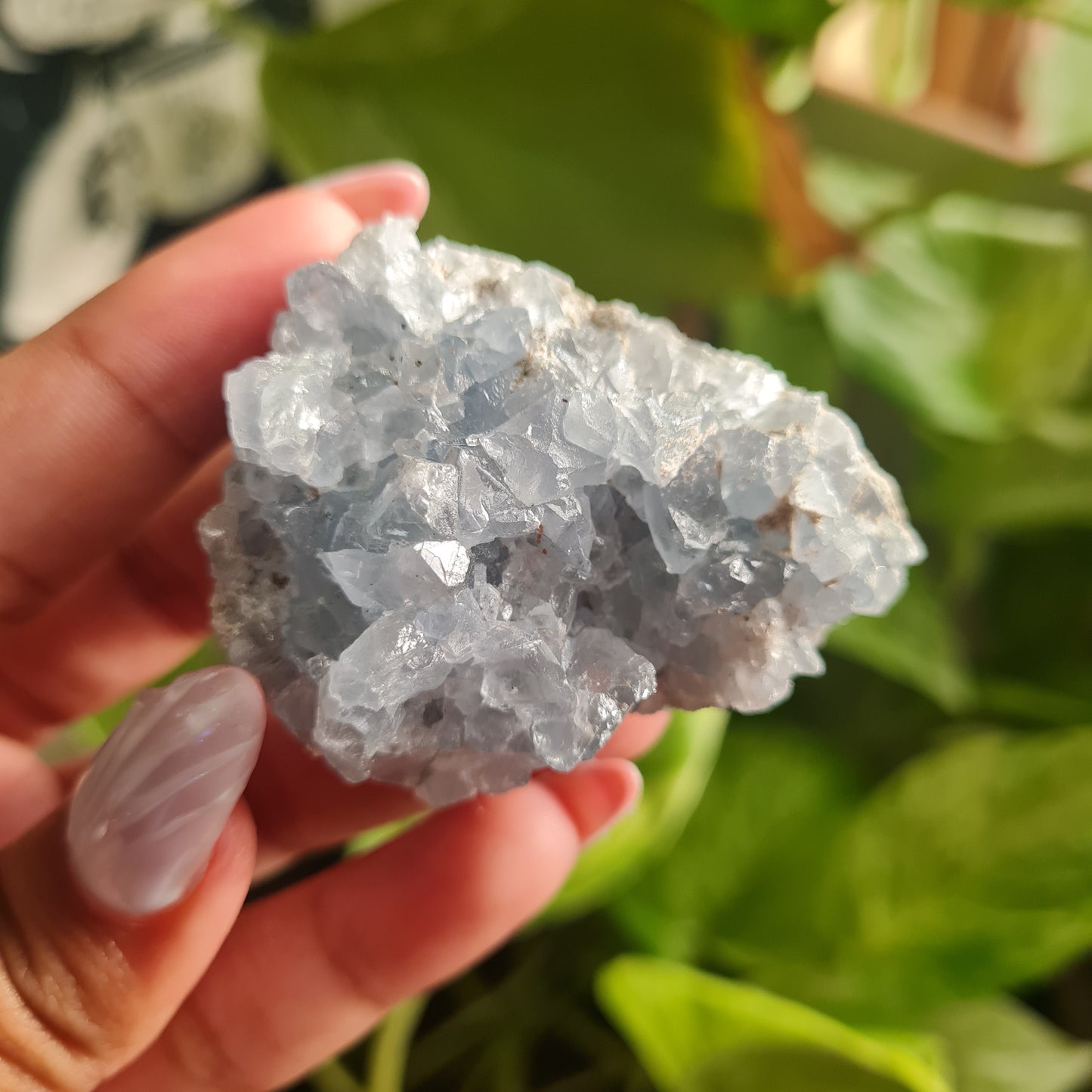 Celestite Cluster