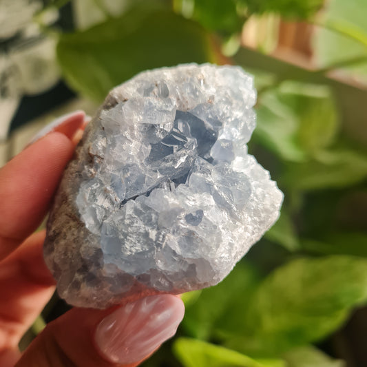 Celestite Cluster