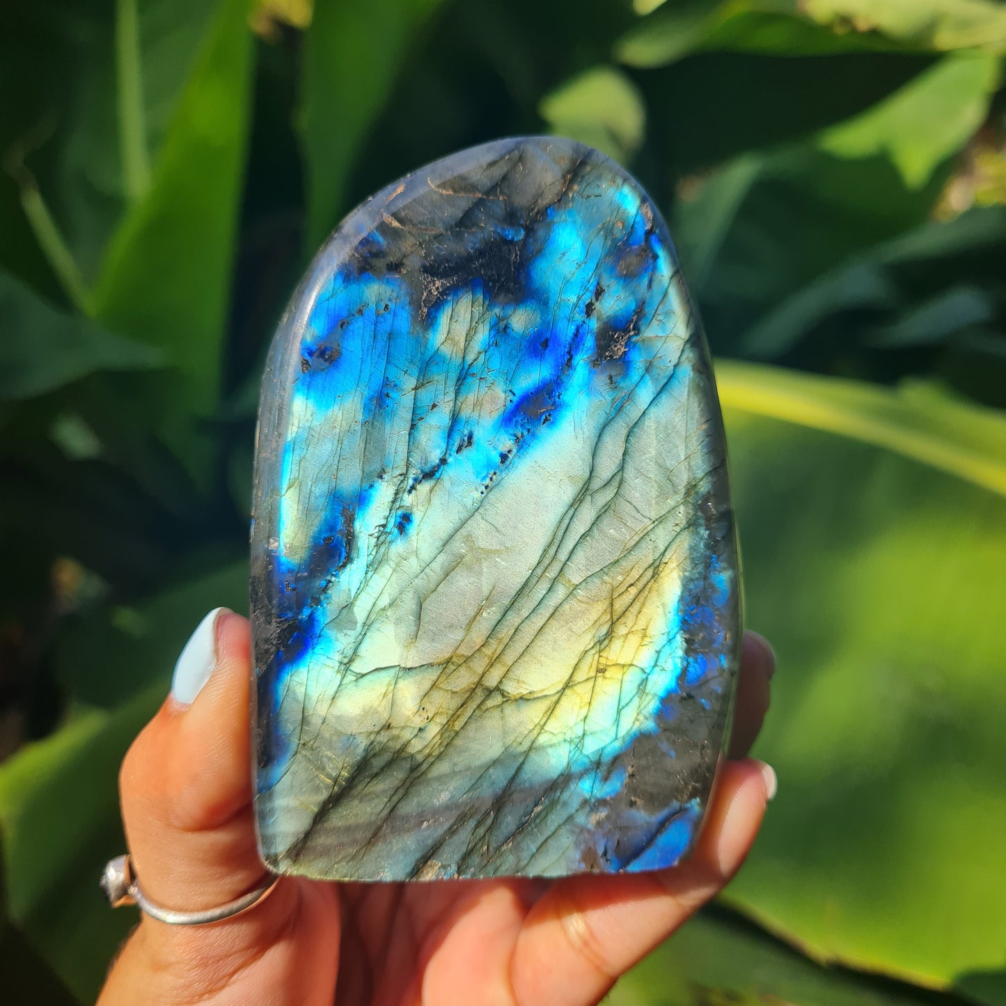 Labradorite Freeform (Mermaid Flash)