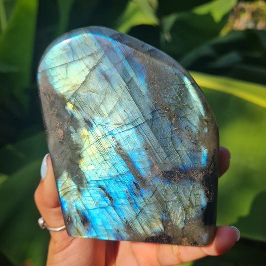 Labradorite Freeform (Mermaid Flash)