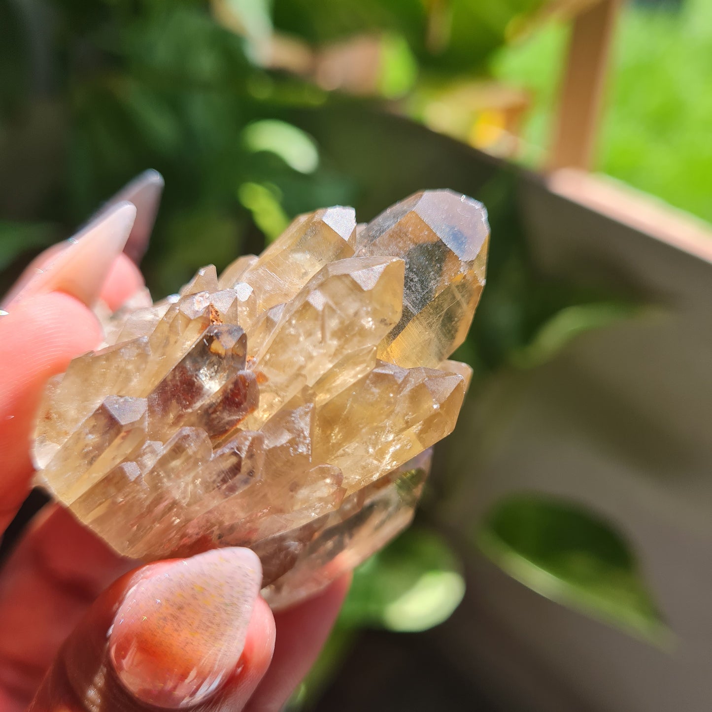 Elestial Citrine Specimen