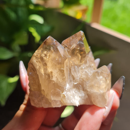 Elestial Citrine Specimen