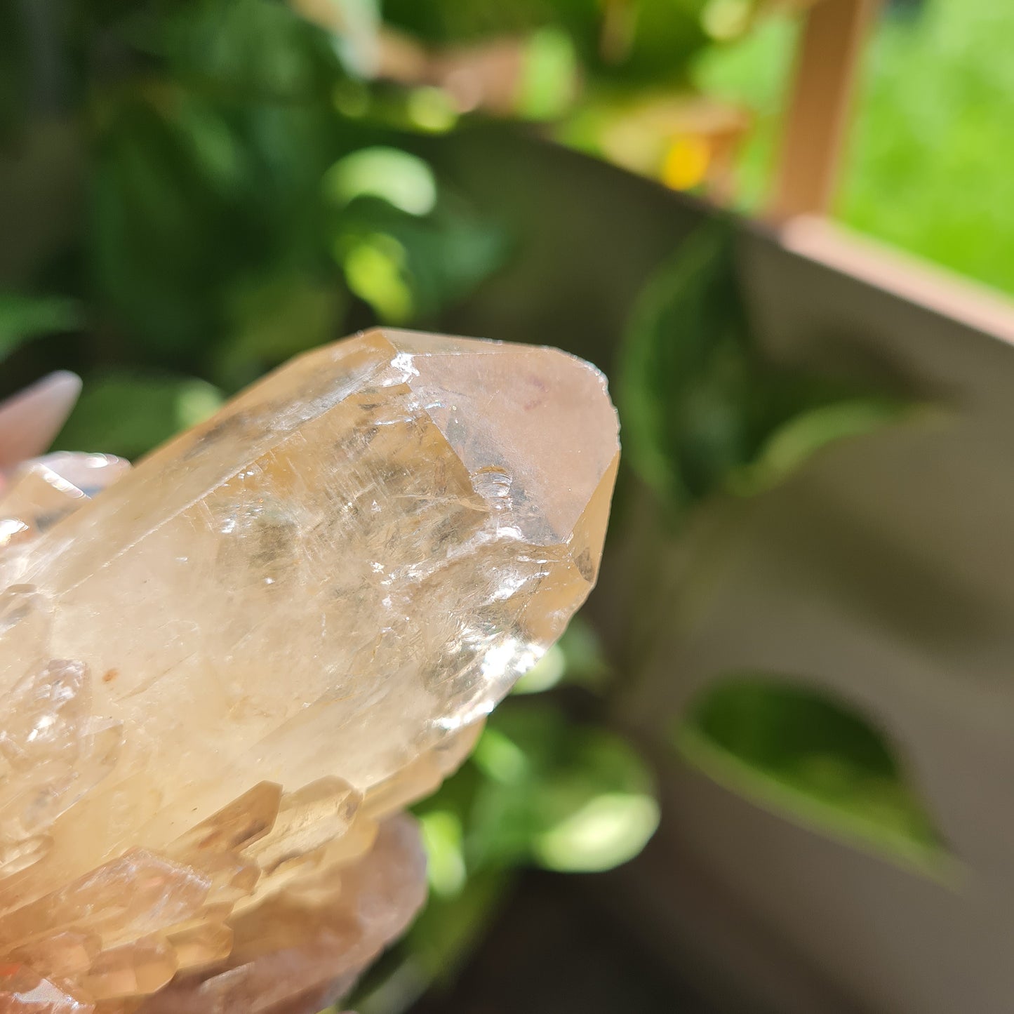 Elestial Citrine Specimen