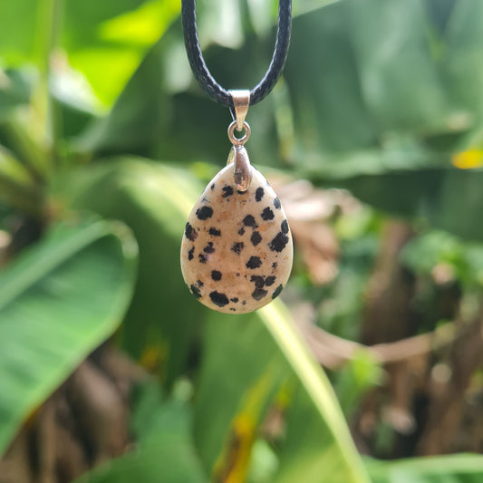 Dalmatian Jasper Drop Necklace