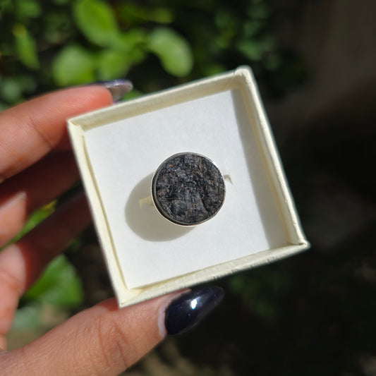 Raw Shungite Ring - Size 8