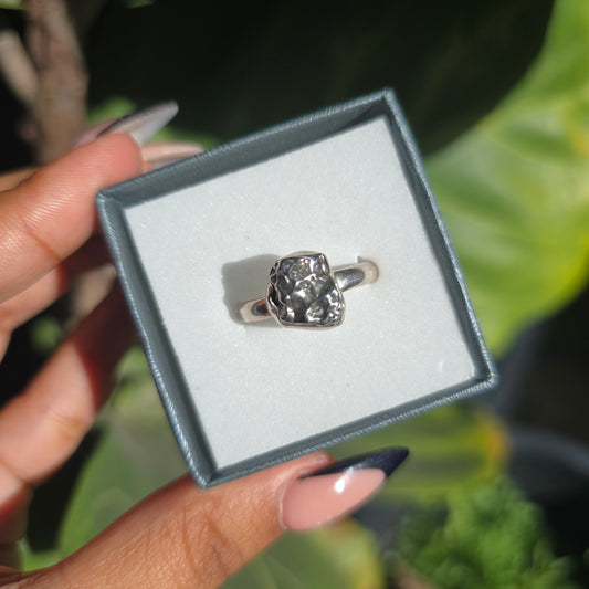 Campo del Cielo (Meteorite) Ring - Size 11.5