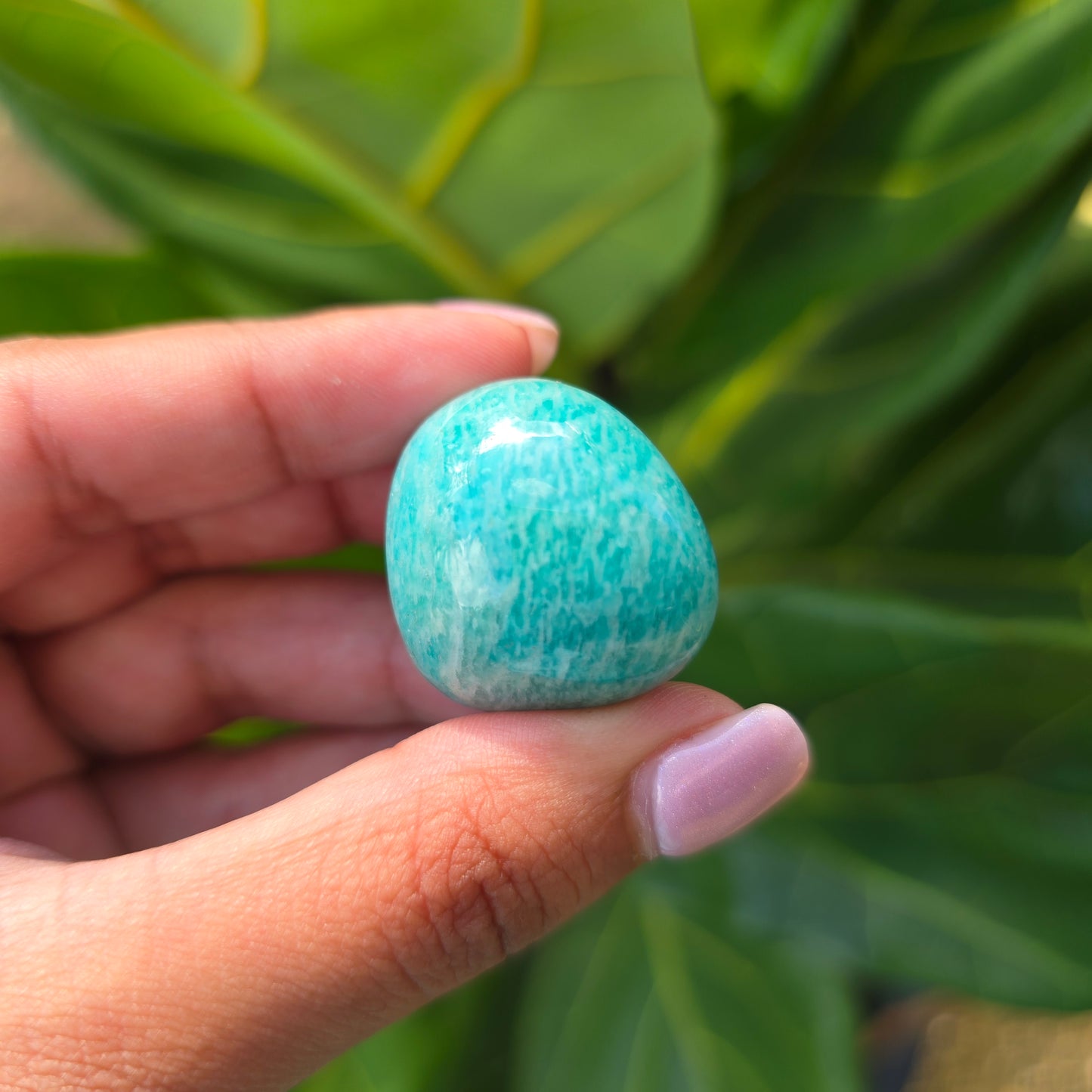 Amazonite Tumbled Stone