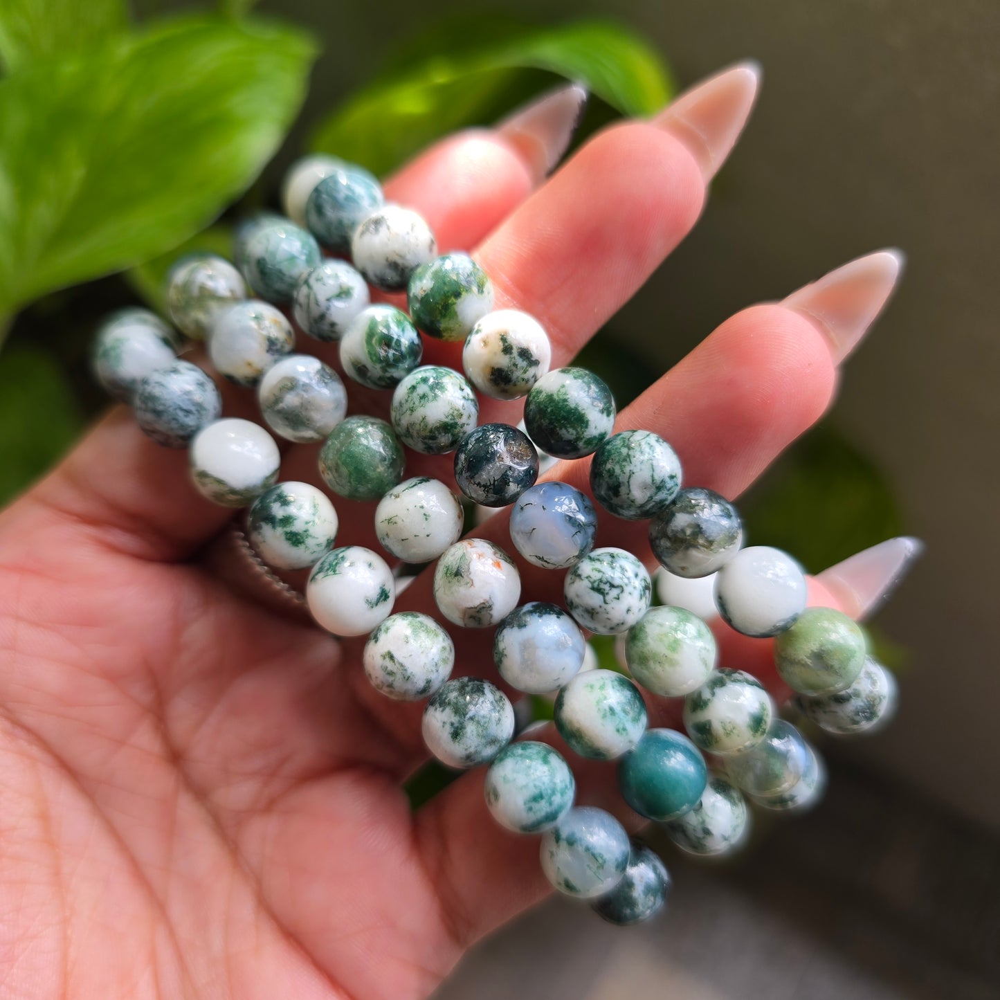 Tree Agate Gemstone Bracelet