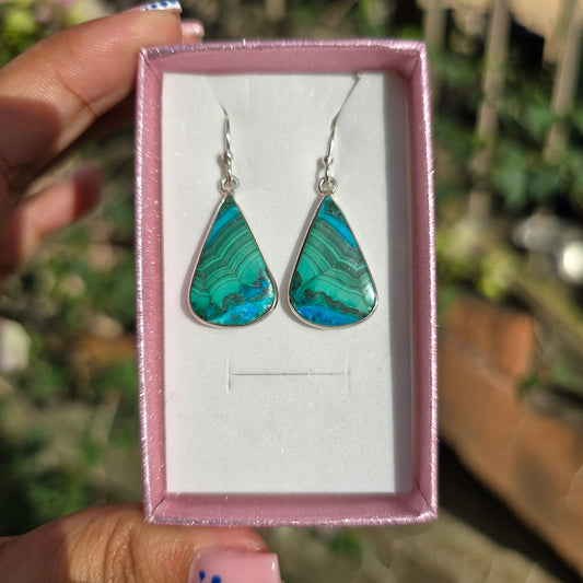 Malacolla Earrings