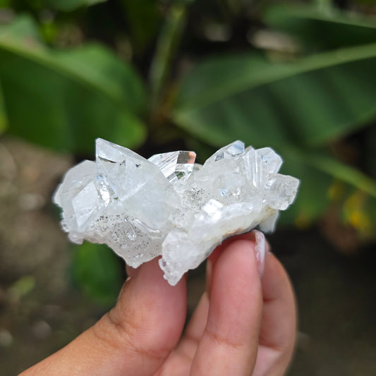 Apophyllite Specimen No 5