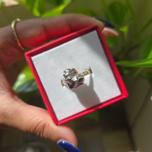 Campo del Cielo (Meteorite) Ring - Size 7.5