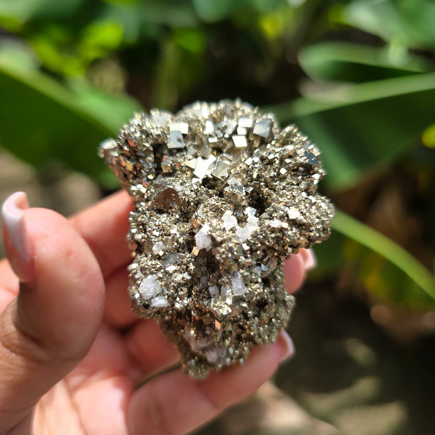 Pyrite Specimen No 3