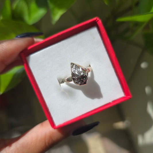 Campo del Cielo (Meteorite) Ring - Size 4.5