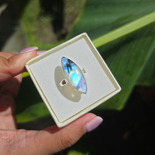 Rainbow Moonstone with Black Mica Ring - Size 7