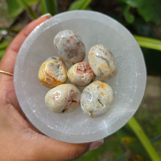 Laguna Lace Agate Tumbled Stone