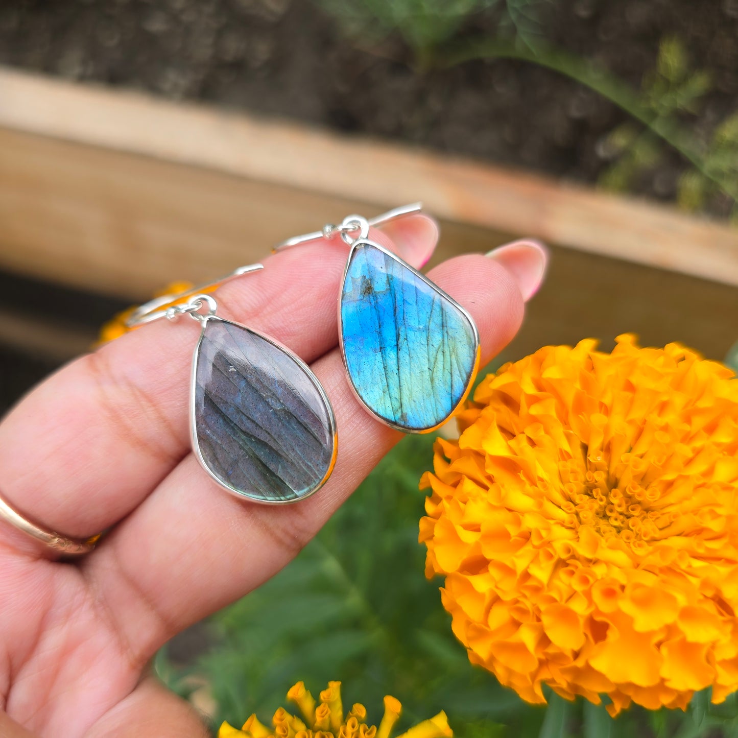 Multi Fire Labradorite Dangle Earring