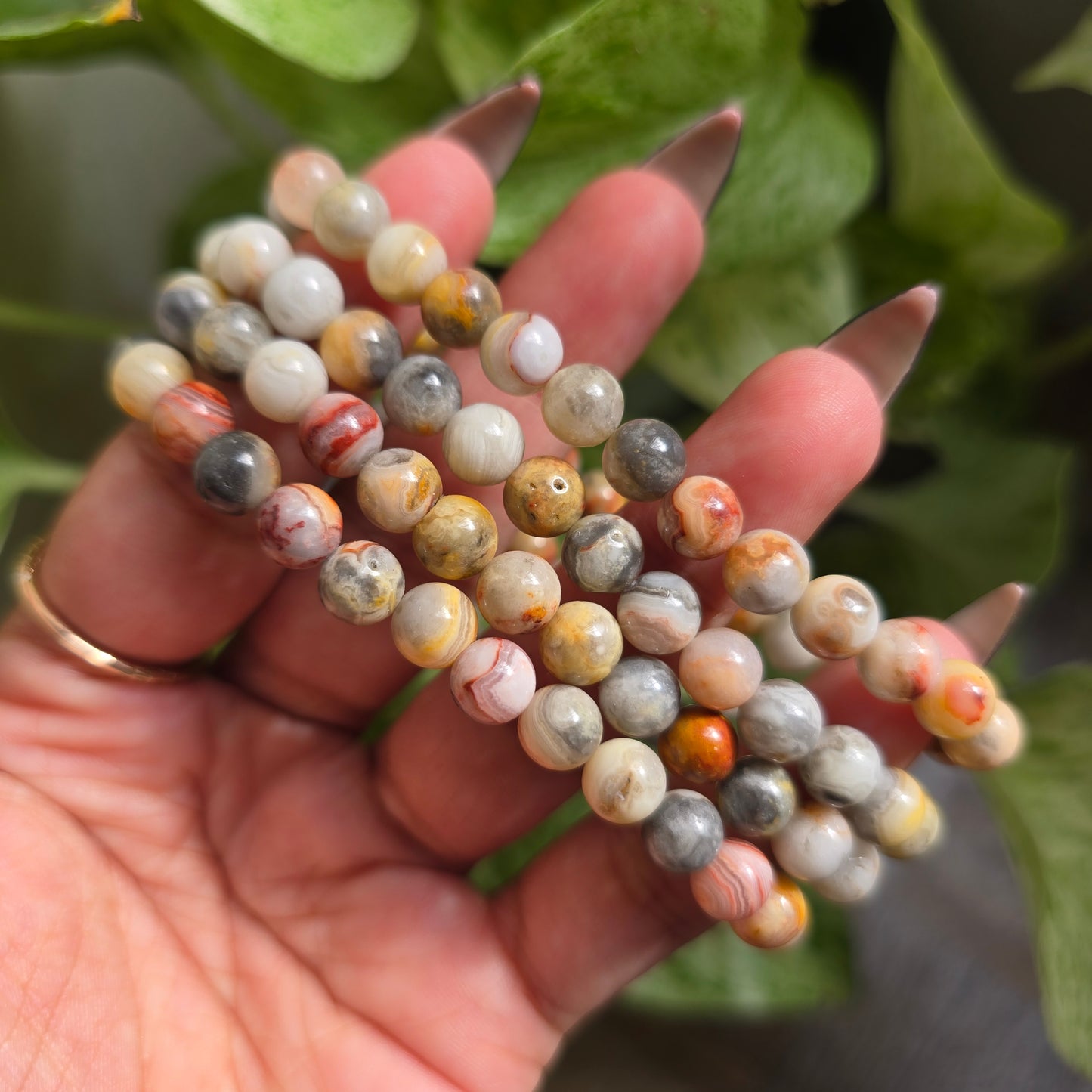 Laguna Lace Agate Gemstone Bracelet