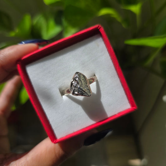 Campo del Cielo (Meteorite) Ring - Size 6.5
