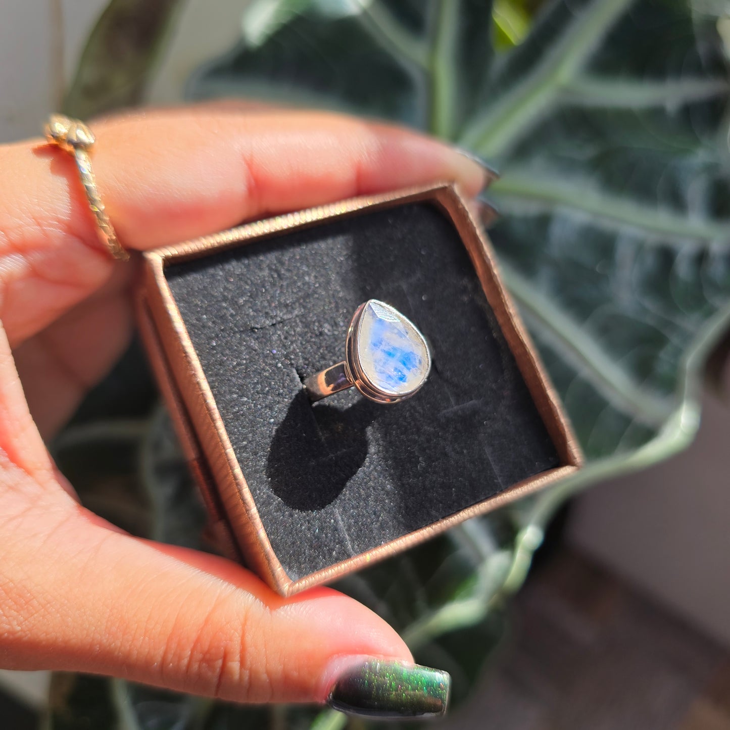 Faceted Rainbow Moonstone Ring - Size 8