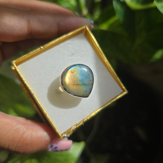 Multi Fire Labradorite Ring - Size 9