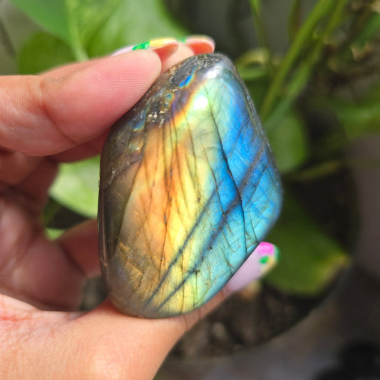 Labradorite Freeform - A