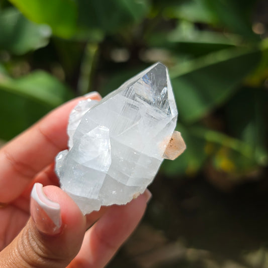 Apophyllite Specimen No 4