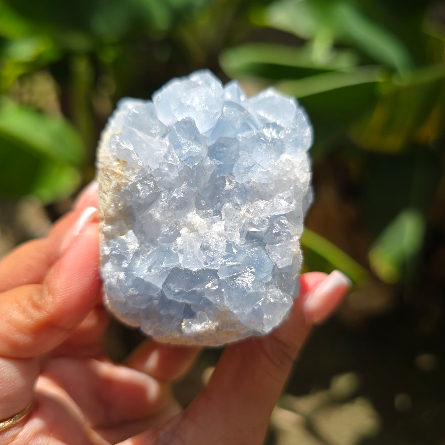 Celestite Specimen No 3